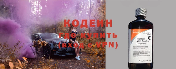 ПСИЛОЦИБИНОВЫЕ ГРИБЫ Горняк
