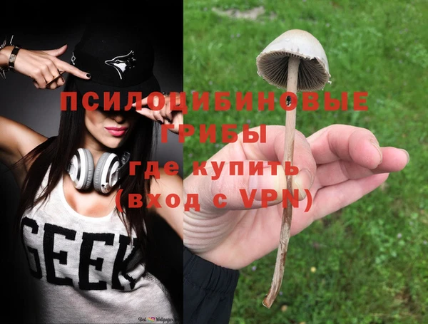 гидра Балабаново